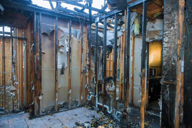 Professional Fire Damage Removal technician working in Grand Haven, MI
